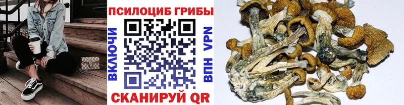 это какой сайт  Гай  Псилоцибиновые грибы Psilocybe 