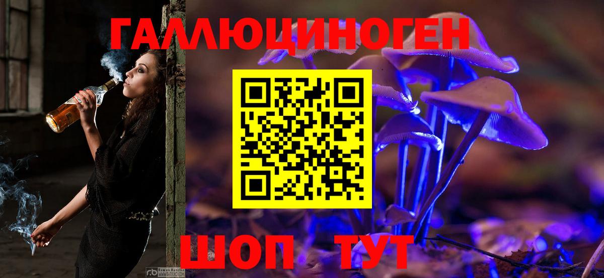 Галлюциногенные грибы мицелий  Вход с VPN  Гай 