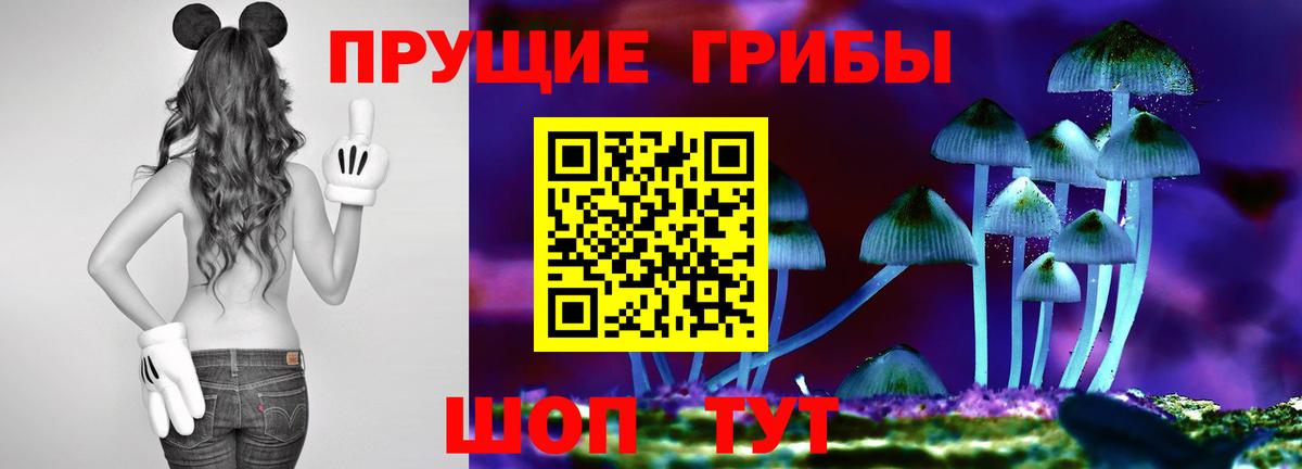 Псилоцибиновые грибы ЛСД Гай