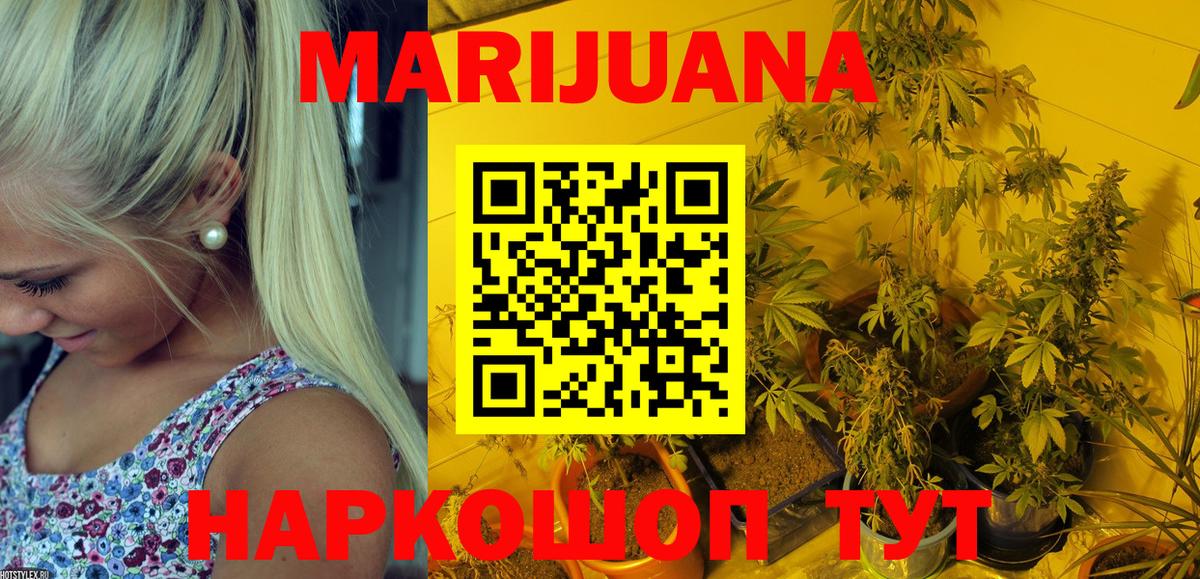 Конопля SATIVA & INDICA Гай